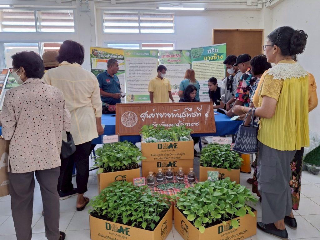 ศูนย์ขยายพันธุ์พืชที่ 4 จังหวัดนครศรีธรรมราช ออกบริการเกษตรกรในกิจกรรมโครงการคลินิกเกษตรเคลื่อนที่ในพระราชานุเคราะห์ สมเด็จพระบรมโอรสาธิราช ฯ สยามมกุฎราชกุมารไตรมาส 3/2568 ณ ศูนย์พักพิงร่วมใจอุ่นไอรัก ตำบลขนอม อำเภอขนอม จังหวัดนครศรีธรรมราช