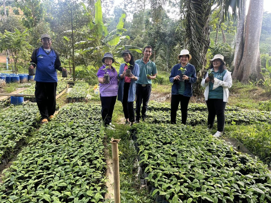 ศูนย์ขยายพันธุ์พืชที่ 4 จังหวัดนครศรีธรรมราช ลงพื้นที่ถอดองค์ความรู้การขยายพันธุ์กาแฟโรบัสต้าจากเมล็ด ตั้งแต่การคัดเมล็ด การผสมดินปลูก และการดูแลรักษาต้นธุ์กาแฟ