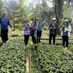 ศูนย์ขยายพันธุ์พืชที่ 4 จังหวัดนครศรีธรรมราช ลงพื้นที่ถอดองค์ความรู้การขยายพันธุ์กาแฟโรบัสต้าจากเมล็ด ตั้งแต่การคัดเมล็ด การผสมดินปลูก และการดูแลรักษาต้นธุ์กาแฟ